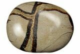 1 1 /2" Polished Septarian Stones  - Photo 3